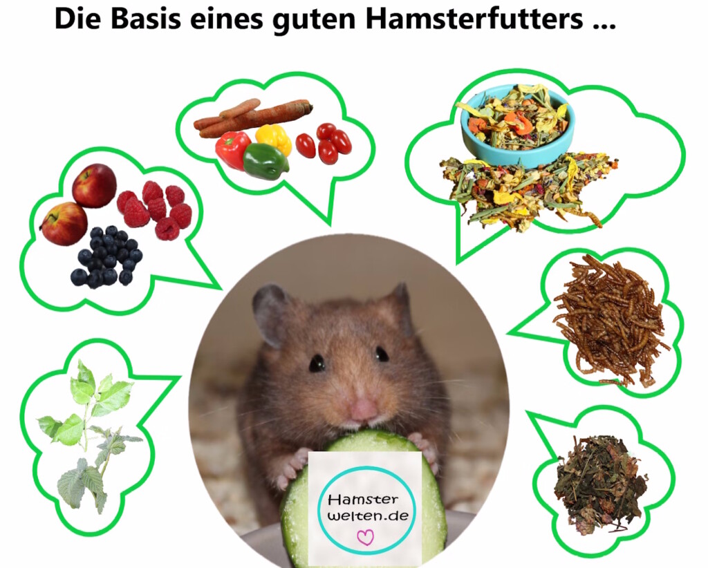 Das Foto zeigt die Basiszutaten für gutes Hamsterfutter