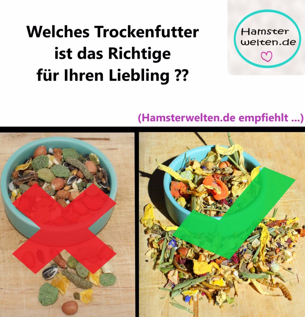 Das Foto zeigt richtiges und falsches Trockenfutter im Vergleich